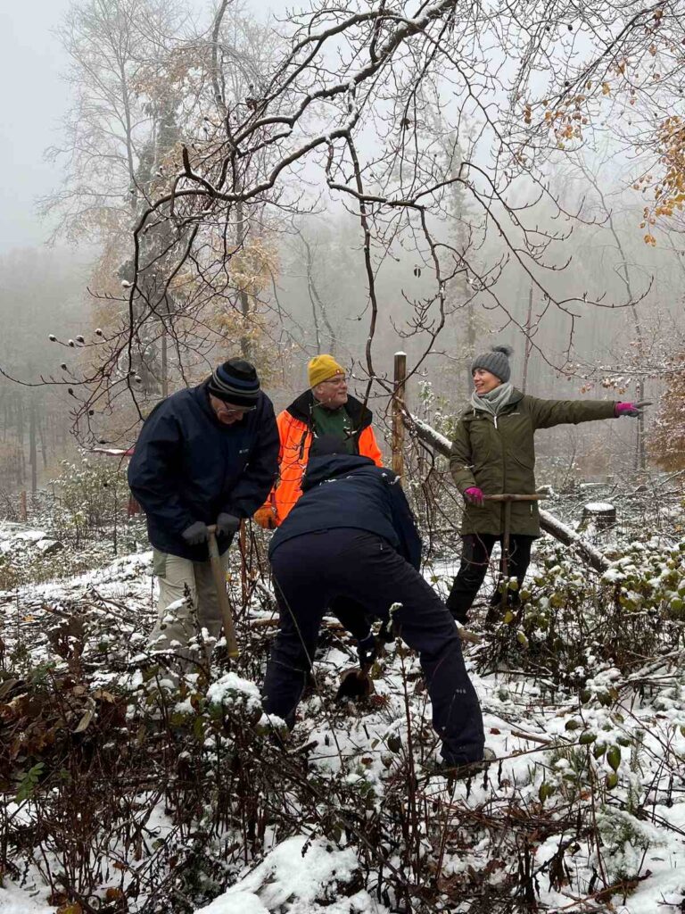 Aufforstung „500 Bäume für das Nesselbachtal“ am 14.11.26 und Spendenaufruf